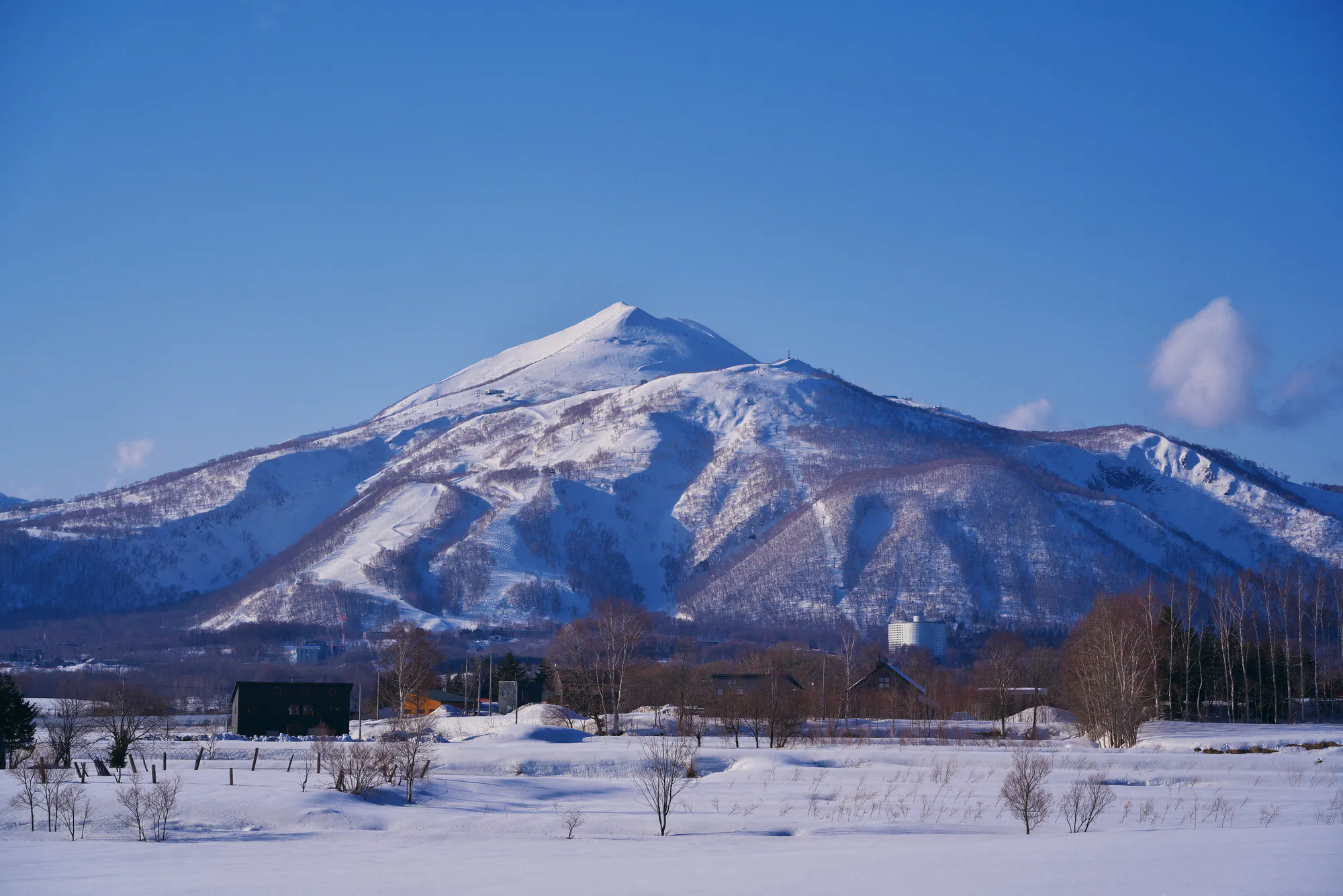 黒松内町（寿都郡）