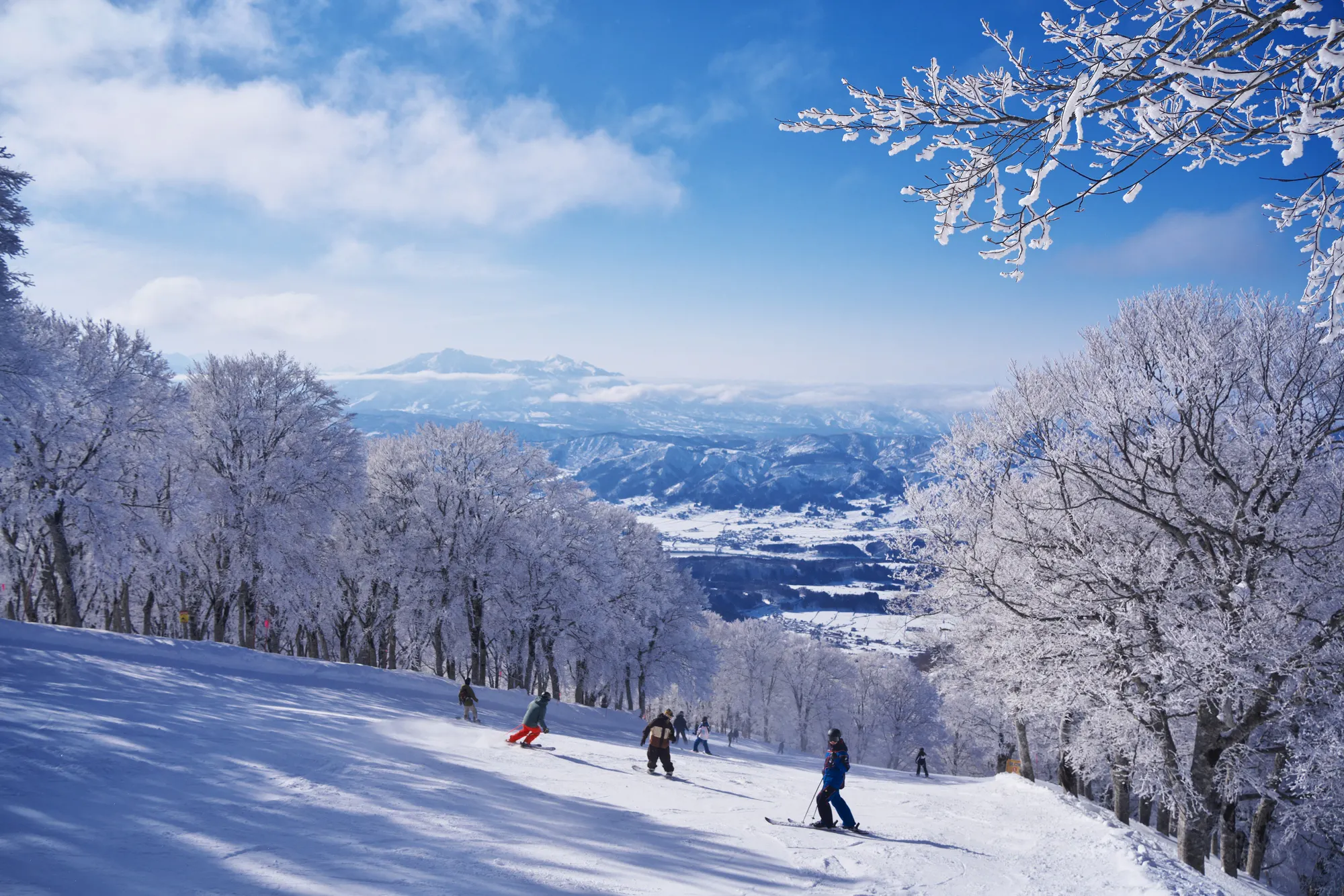 野沢温泉村（下高井郡）