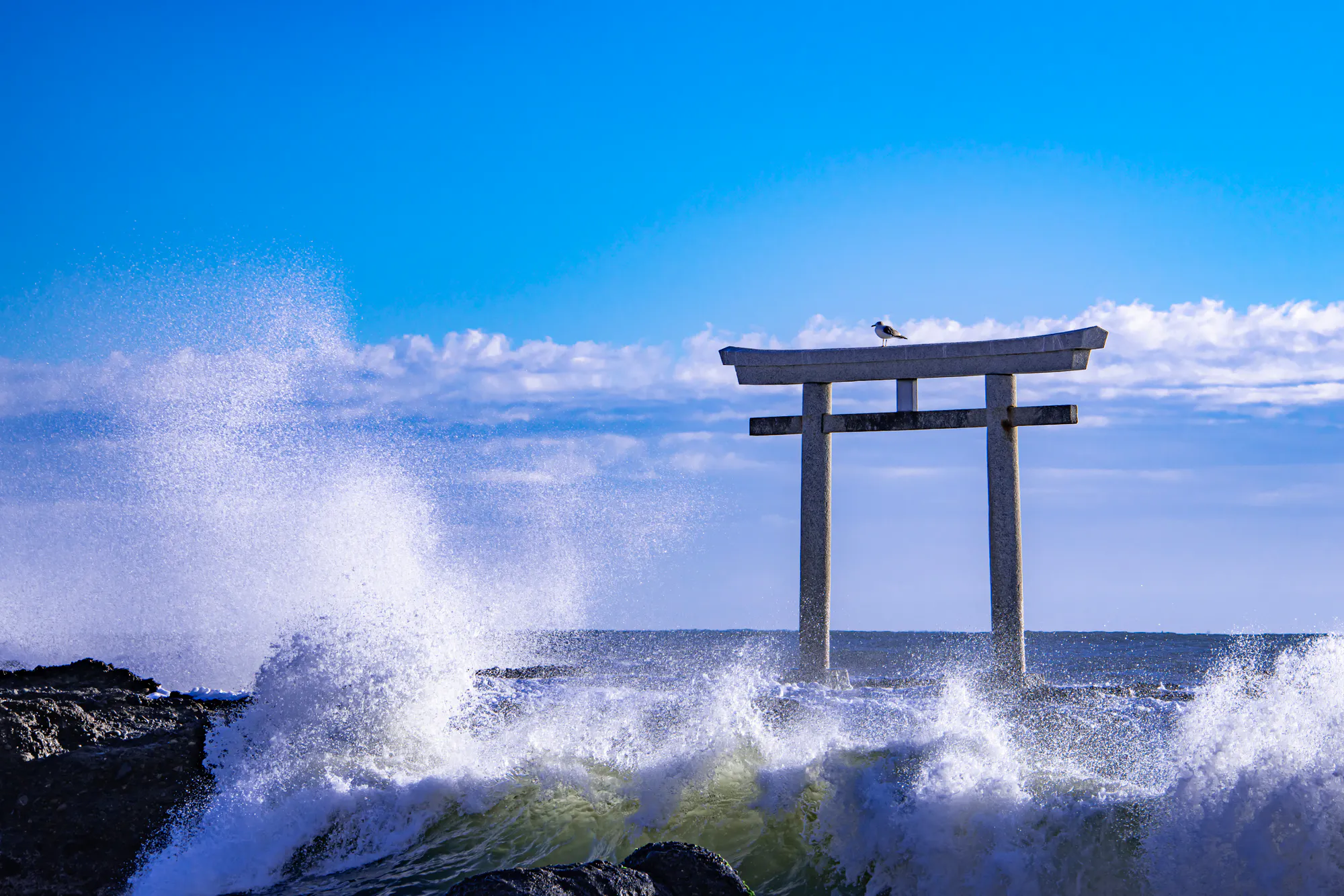 鉾田市