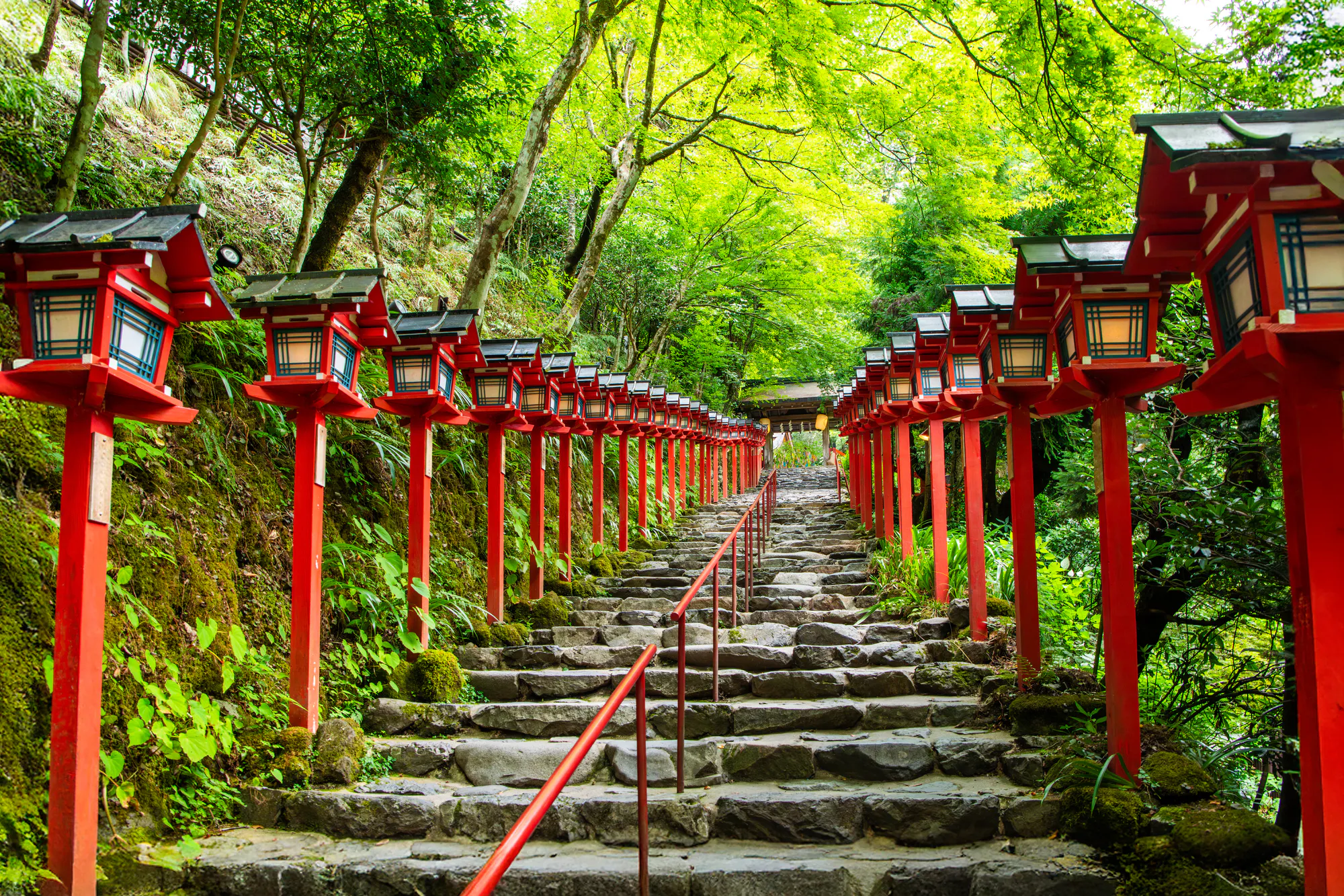 左京区（京都市）・大原・鞍馬・貴船