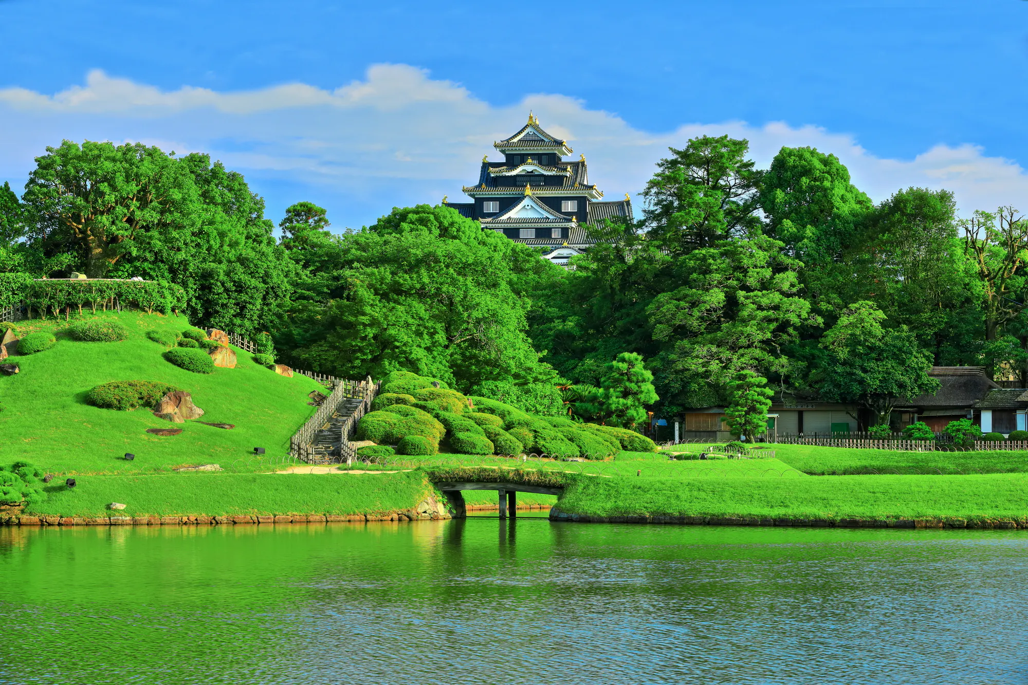 玉野市