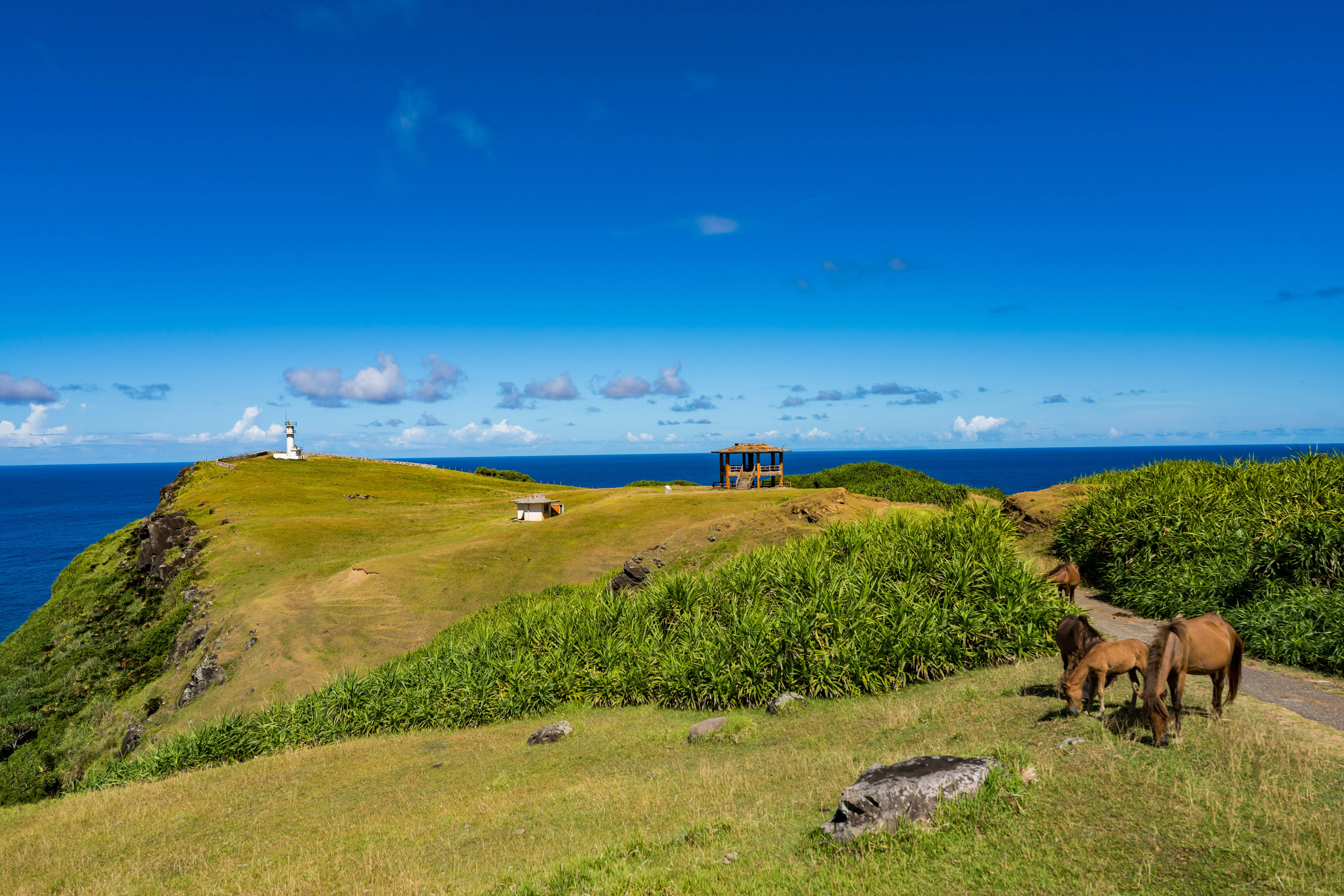 北大東島・北大東村（島尻郡）