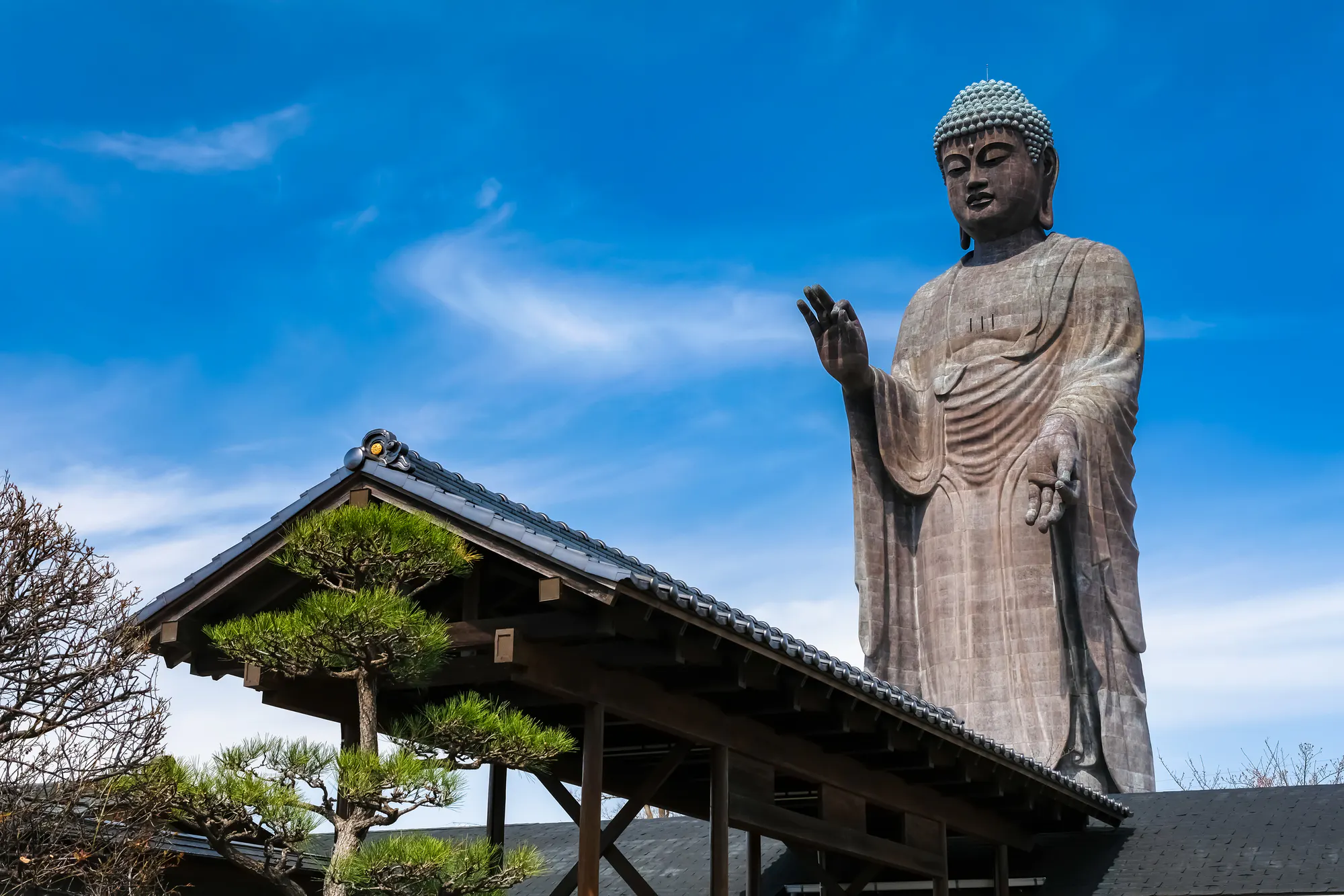 龍ケ崎市