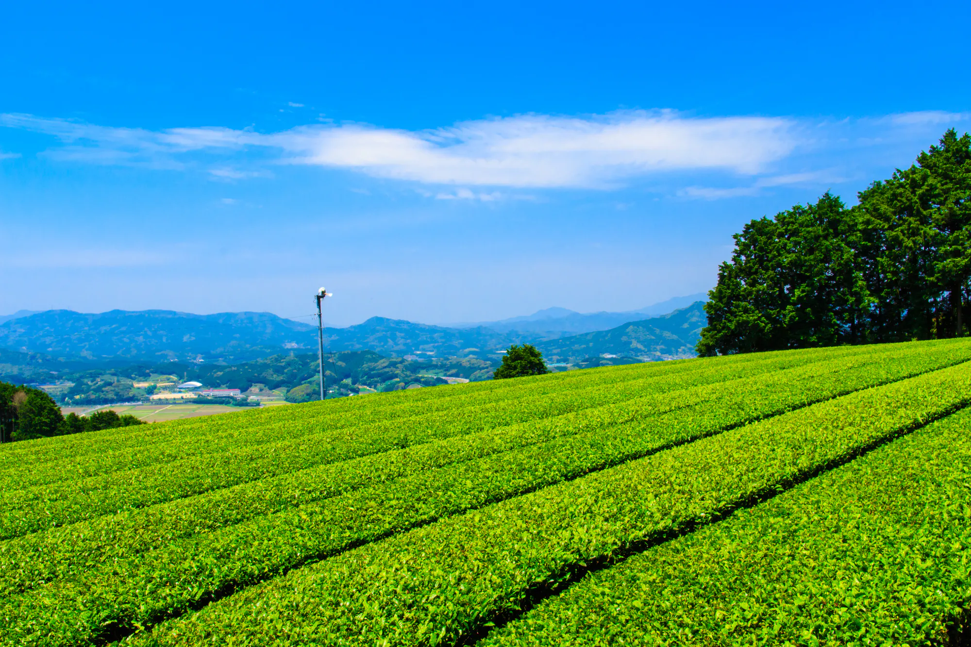大町町（杵島郡）