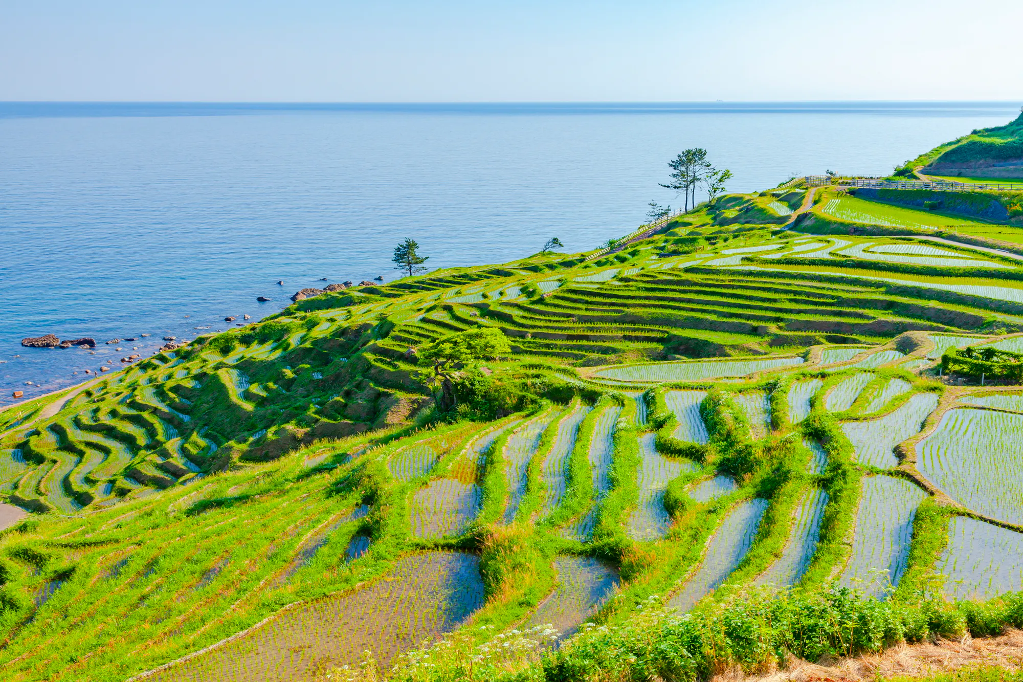 珠洲市