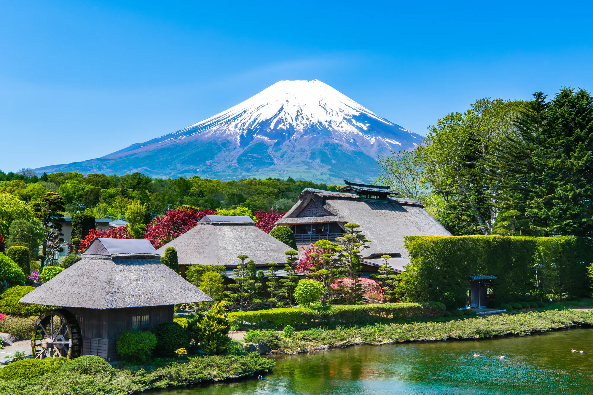 山中湖村（南都留郡）
