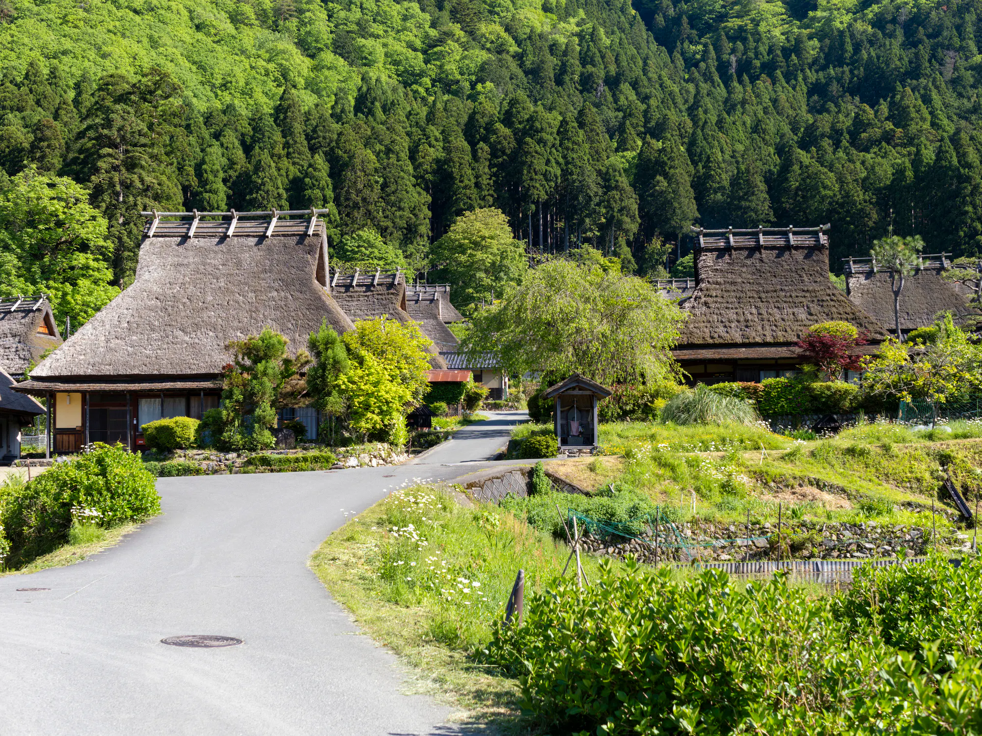 亀岡市