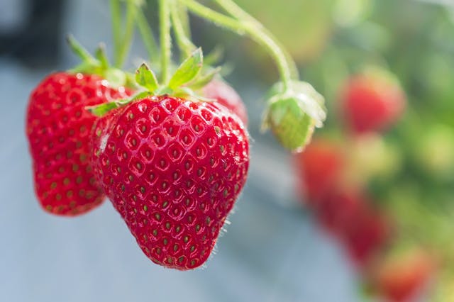 服装・環境・注意点など