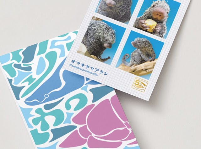 証明写真風カードイメージ