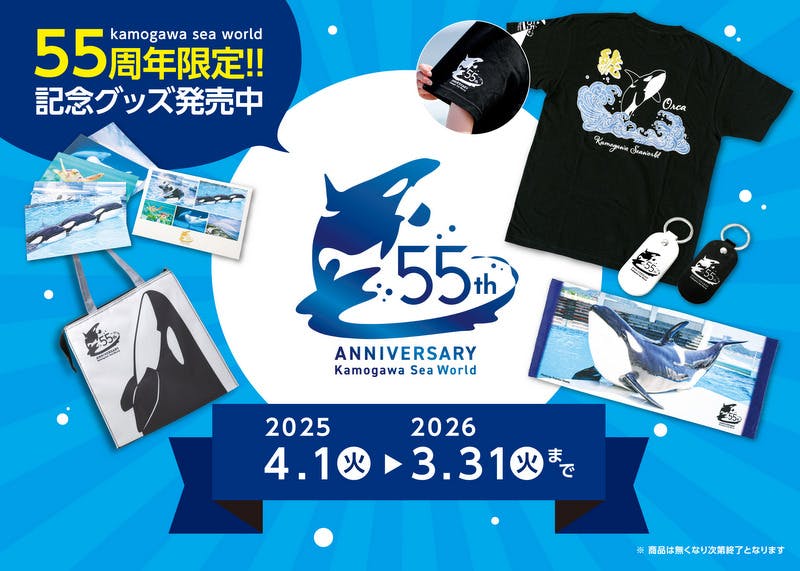 鴨川シーワールドでシャチの「サマースプラッシュ」開催！ずぶ濡れ体験