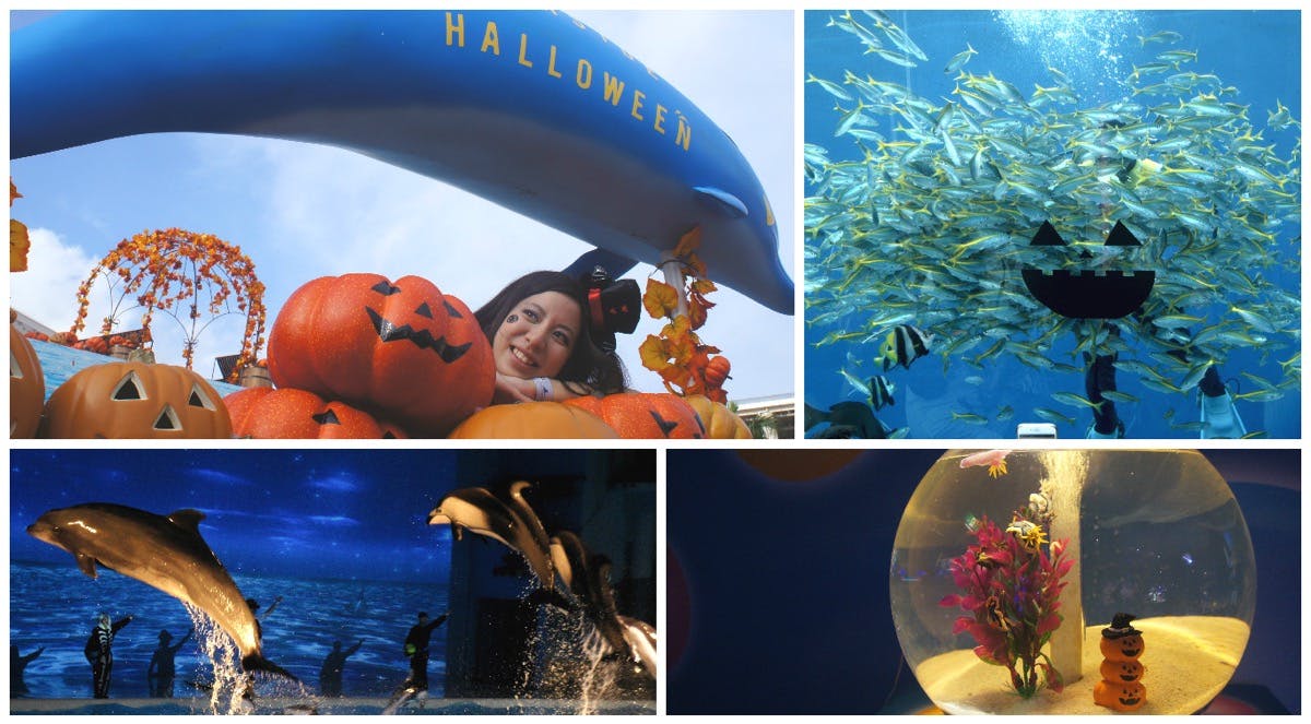 横浜・八景島シーパラダイス「SEASIDE HALLOWEEN」で海の生きものと