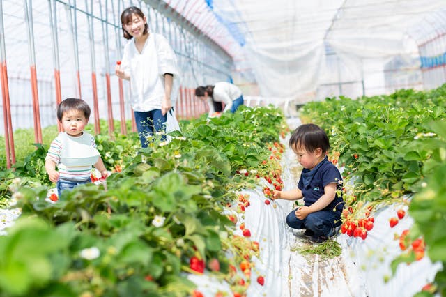 服装・環境・注意点など