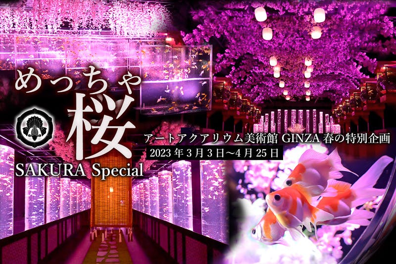 桜×金魚×アートの美しいコラボ！ピンクの光に包まれた空間で金魚と一緒