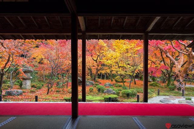 京都のおすすめ庭園15選！日本文化の美の結晶をじっくりと味わおう！