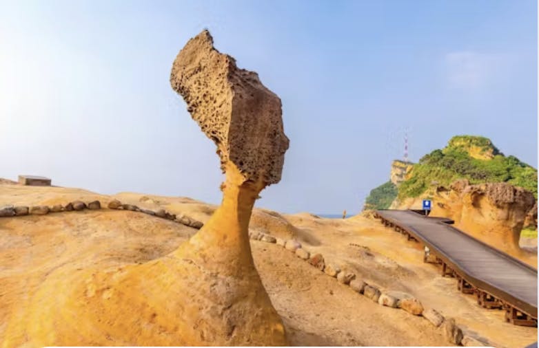 野柳ジオパーク(野柳地質公園)入場券