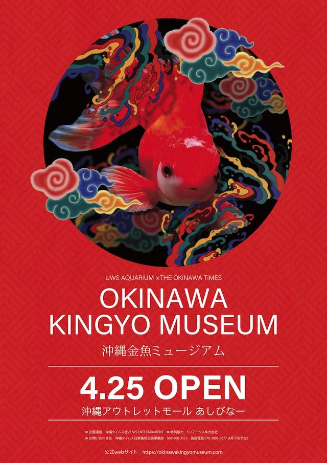 金魚がアートに！沖縄に誕生「沖縄金魚ミュージアム」で新感覚の水中体験