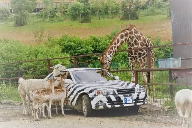 東北サファリパーク