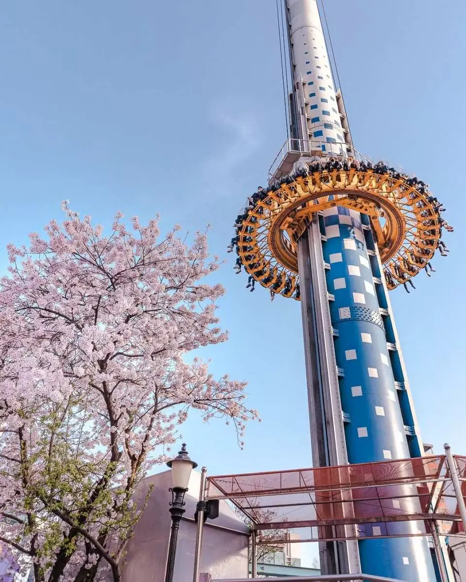 ロッテワールド　屋外のアトラクション