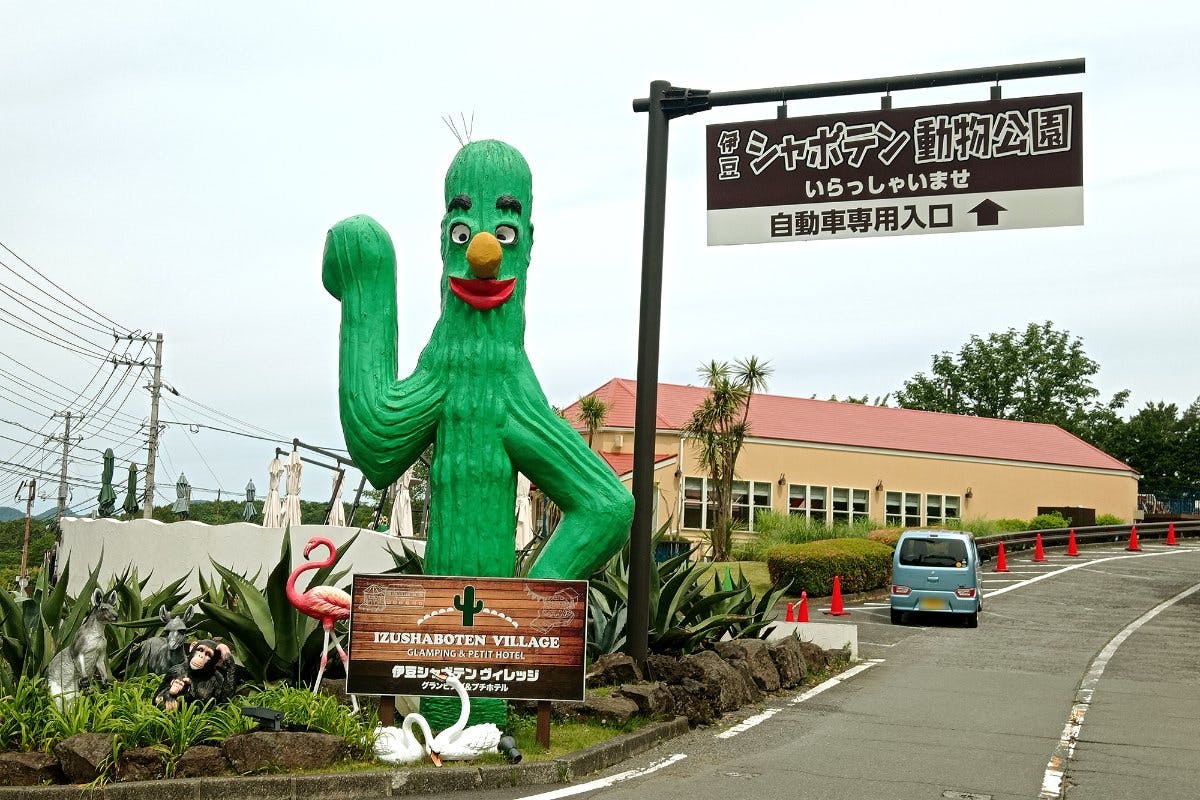 伊豆シャボテン動物公園で距離感ゼロのワクワクふれあい体験！世界の