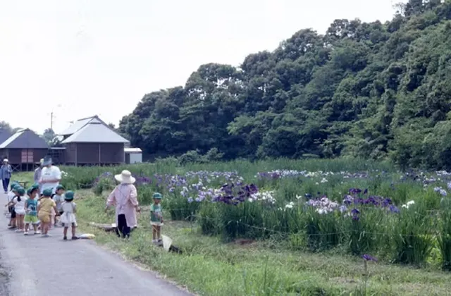 トンボ王国(四万十川学遊館あきついお)