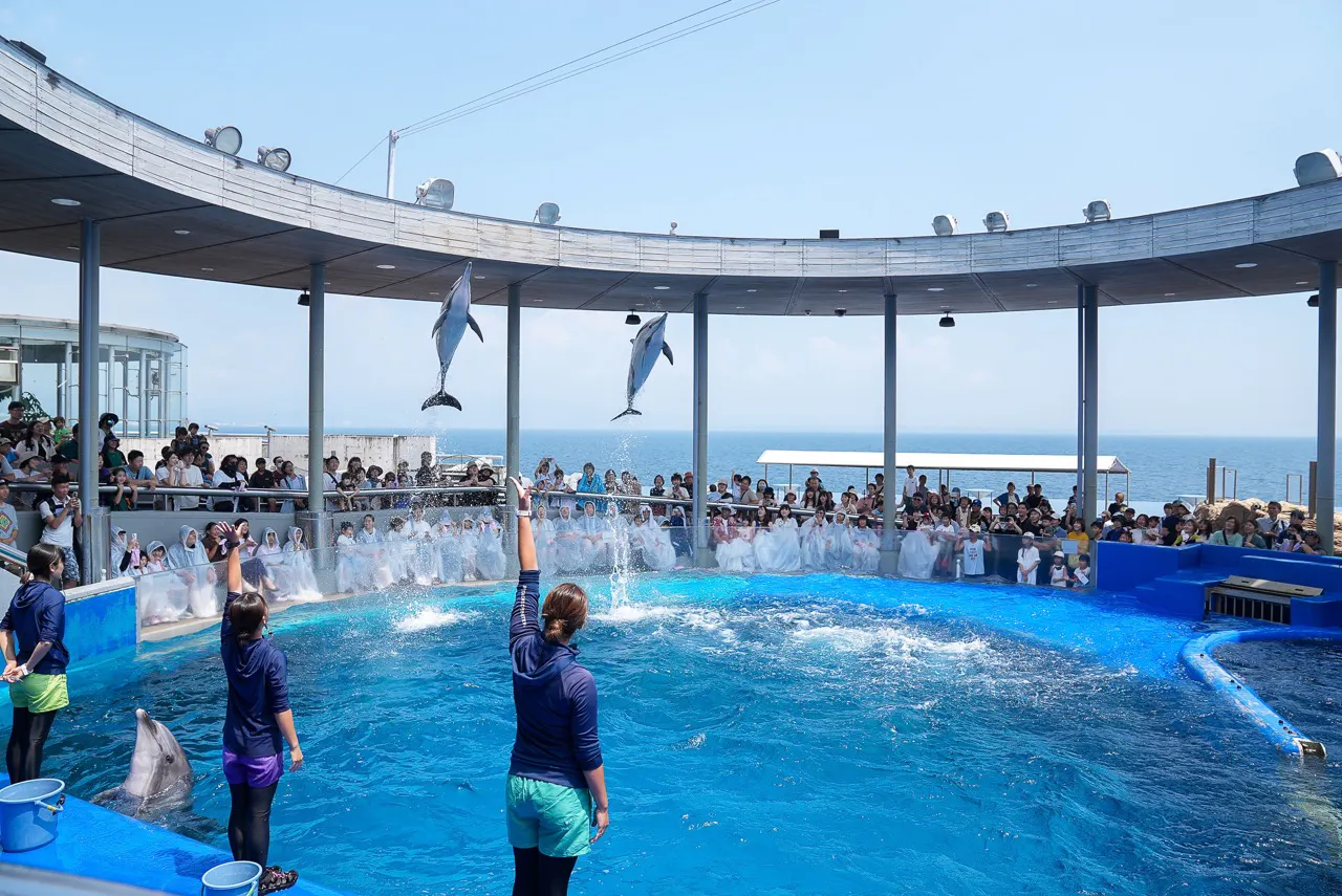大分マリーンパレス水族館「うみたまご」
