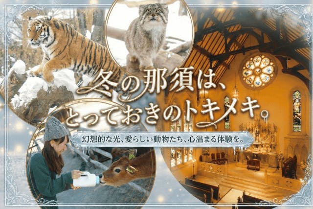 冬の那須はとっておきのトキメキ