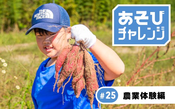 千葉の里山で親子でプチ農業体験！おいしそうなサツマイモもいっぱい収穫できました