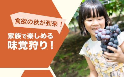 家族や友達と旬の味で盛り上がるのにぴったりのプランを厳選しました。