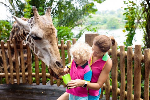 動物園・水族館のカテゴリを表す写真が表示されています