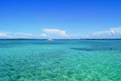 セブ島の写真が表示されています