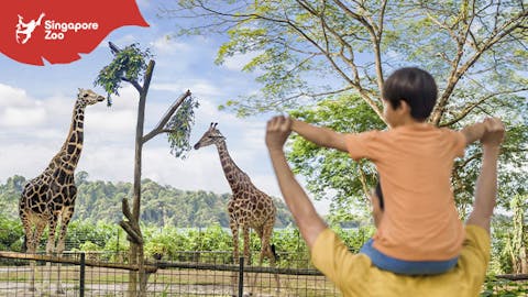 シンガポール動物園入場券【シンガポール・動物園】の画像を表示しています