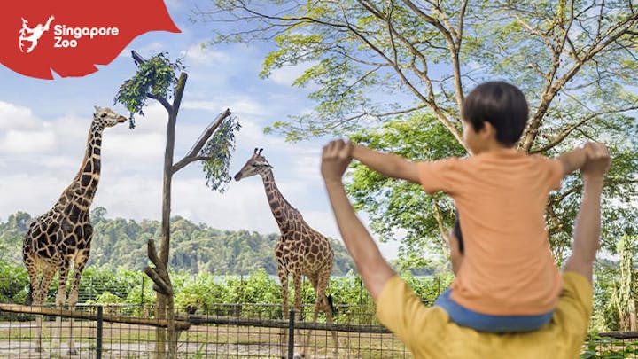 シンガポール動物園入場券【シンガポール・動物園】