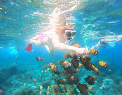 <バリ島・アウトドア>シュノーケリングとペニダ島ツアーの画像を表示しています