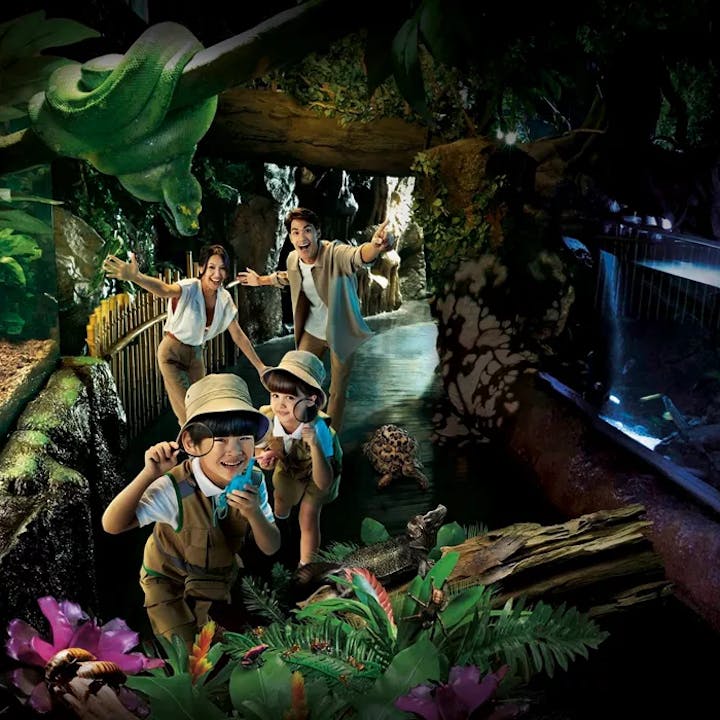 シーライフ・バンコク（SEA LIFE）入場券【バンコク・水族館】