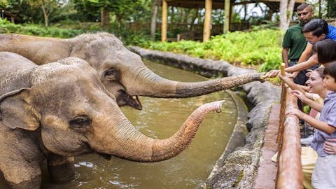 <シンガポール・動物園>シンガポール動物園入場券の画像を表示しています