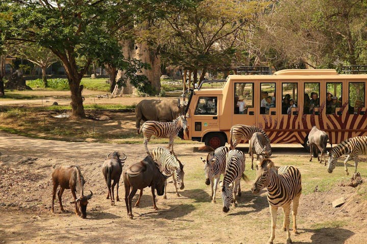 100種以上の動物が住むバリ・サファリパークを探検【バリ島・動物園】