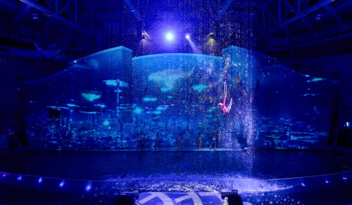 アクアプラネット済州　入場チケット【済州島・水族館】