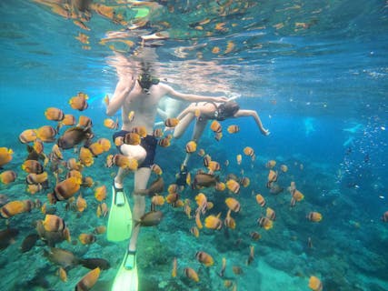 <バリ島・アウトドア>ペニダ島のプライベートシュノーケリングツアー半日or１日の画像を表示しています