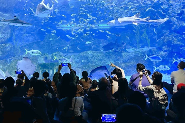 COEXアクアリウム【ソウル・水族館】