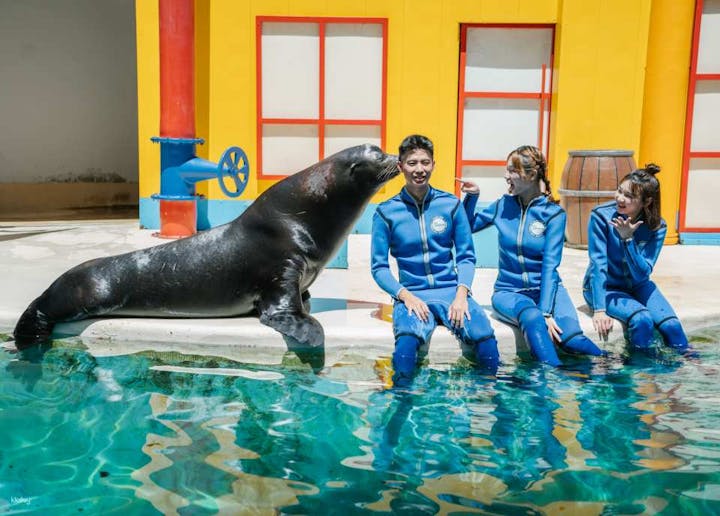 遠雄海洋公園（ファーグローリーオーシャンパーク）｜イルカやアシカとふれあい体験【花蓮・テーマパーク/水族館】
