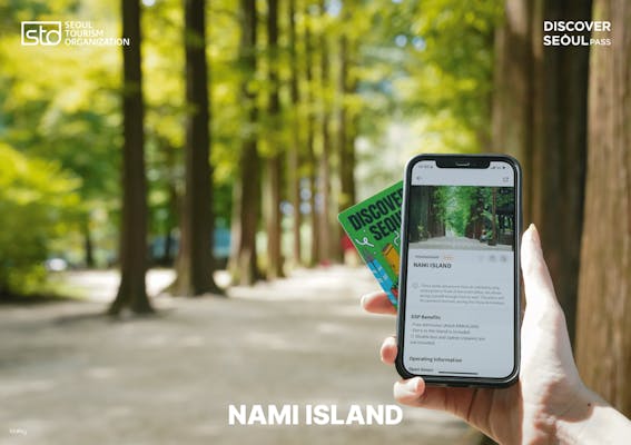 ディスカバーソウルパス（Discover Seoul Pass）人気70施設が使える