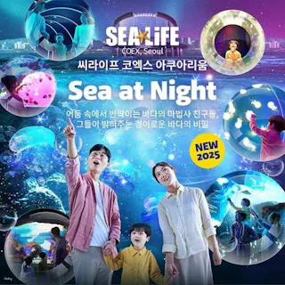 シーライフCOEX ソウルアクアリウム（旧COEXアクアリウム）入場チケット【ソウル・水族館】