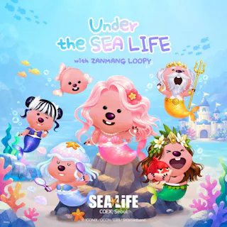 シーライフ・COEX ソウルアクアリウム（旧COEXアクアリウム）　入場チケット【ソウル・水族館】の画像を表示しています