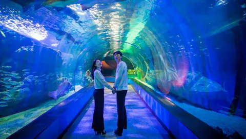 シーライフ・釜山アクアリウム　入場チケット【釜山・水族館】の画像を表示しています