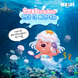 シーライフ・釜山アクアリウム　入場チケット【釜山・水族館】の画像を表示しています