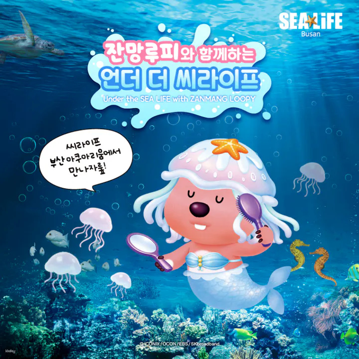 シーライフ・釜山アクアリウム　入場チケット【釜山・水族館】