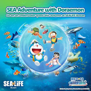 シーライフ・釜山アクアリウム　入場チケット【釜山・水族館】の画像を表示しています