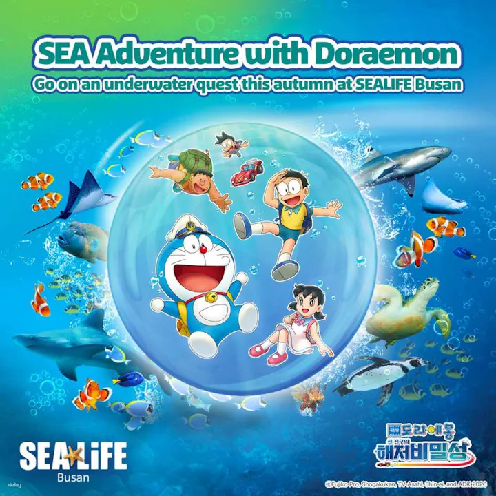 シーライフ・釜山アクアリウム　入場チケット【釜山・水族館】
