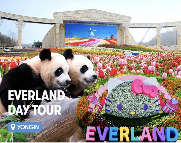 【平日限定】エバーランド入場券＋パンダワールドへの優先入場　＜弘大・明洞からの送迎付き＞【ソウル・テーマパーク/動物園】