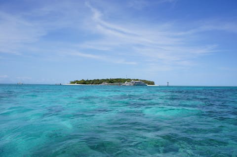 グリーン島の写真が表示されています